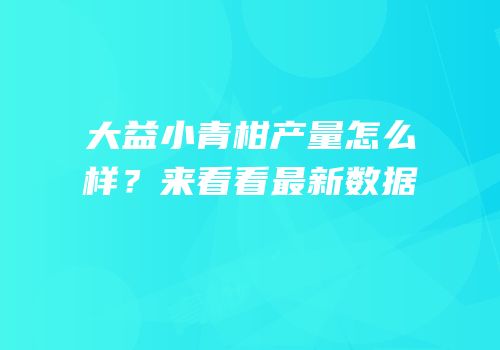 大益小青柑产量怎么样？来看看最新数据