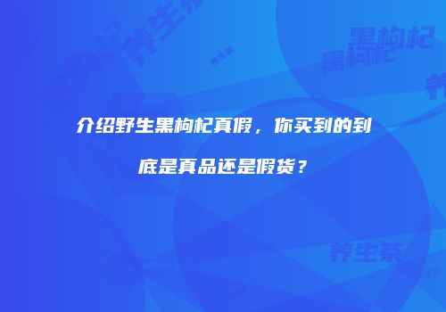 介绍野生黑枸杞真假，你买到的到底是真品还是假货？