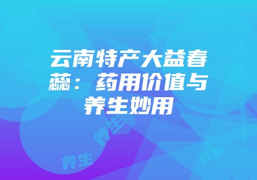 云南特产大益春蕊：药用价值与养生妙用