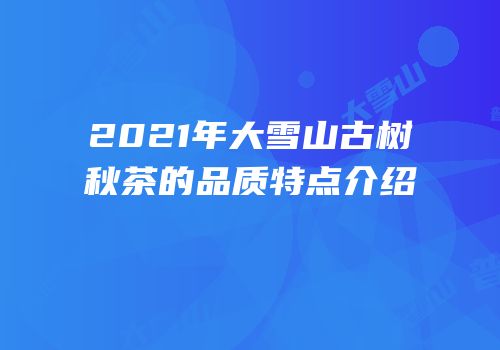 2021年大雪山古树秋茶的品质特点介绍