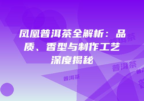 凤凰普洱茶全解析：品质、香型与制作工艺深度揭秘