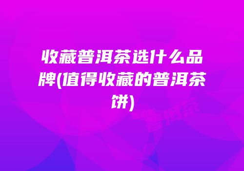 收藏普洱茶选什么品牌(值得收藏的普洱茶饼)