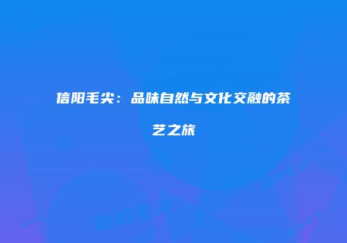 信阳毛尖：品味自然与文化交融的茶艺之旅