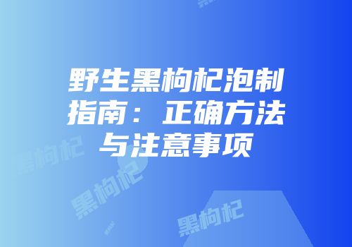 野生黑枸杞泡制指南：正确方法与注意事项