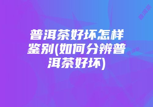 普洱茶好坏怎样鉴别(如何分辨普洱茶好坏)
