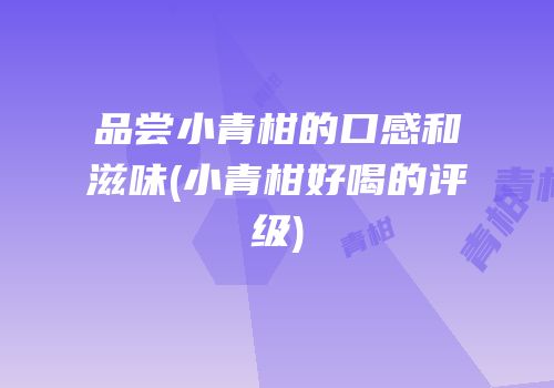 品尝小青柑的口感和滋味(小青柑好喝的评级)