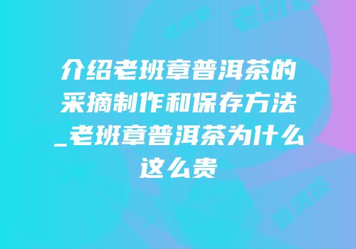 介绍老班章普洱茶的采摘制作和保存方法_老班章普洱茶为什么这么贵