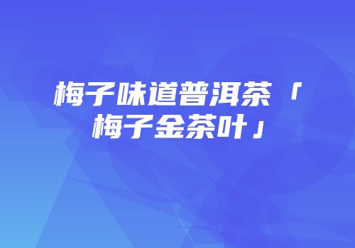 梅子味道普洱茶「梅子金茶叶」