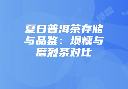 夏日普洱茶存储与品鉴：坝糯与磨烈茶对比