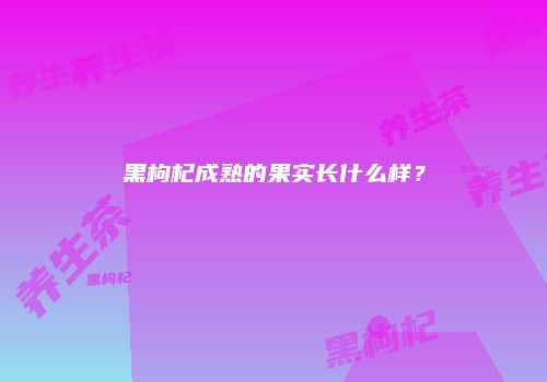 黑枸杞成熟的果实长什么样？