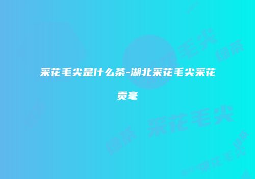 采花毛尖是什么茶-湖北采花毛尖采花贡毫