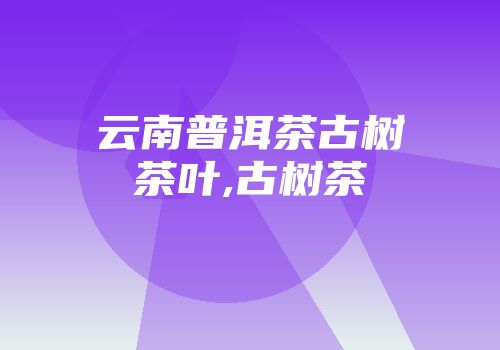 云南普洱茶古树茶叶,古树茶