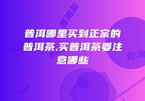 普洱哪里买到正宗的普洱茶,买普洱茶要注意哪些
