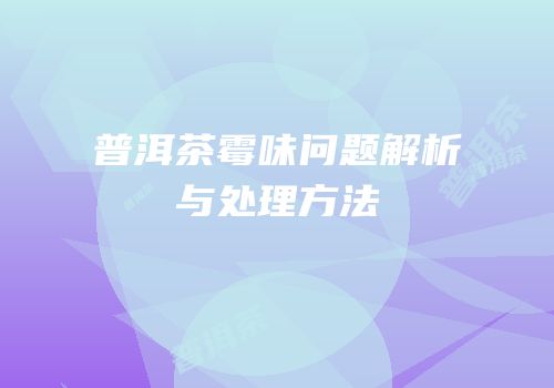 普洱茶霉味问题解析与处理方法