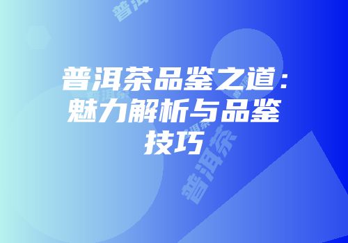 普洱茶品鉴之道：魅力解析与品鉴技巧