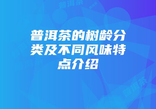 普洱茶的树龄分类及不同风味特点介绍
