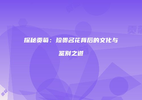 探秘贡菊：珍贵名花背后的文化与鉴别之道