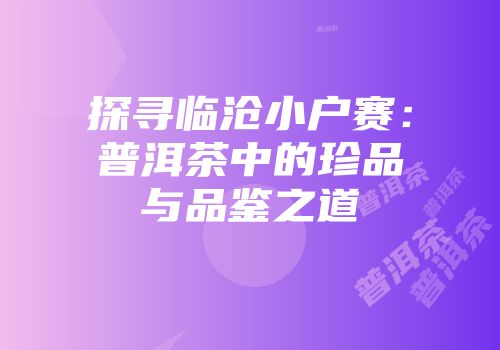 探寻临沧小户赛：普洱茶中的珍品与品鉴之道