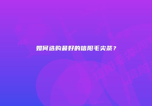 如何选购最好的信阳毛尖茶？