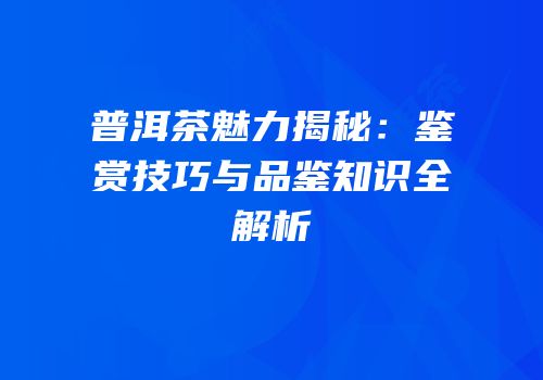 普洱茶魅力揭秘：鉴赏技巧与品鉴知识全解析