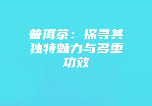 普洱茶：探寻其独特魅力与多重功效
