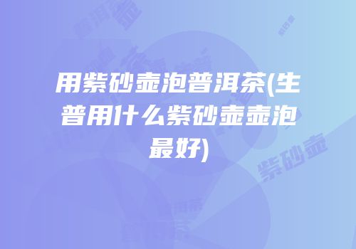 用紫砂壶泡普洱茶(生普用什么紫砂壶壶泡最好)