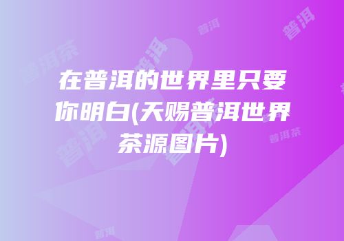 在普洱的世界里只要你明白(天赐普洱世界茶源图片)