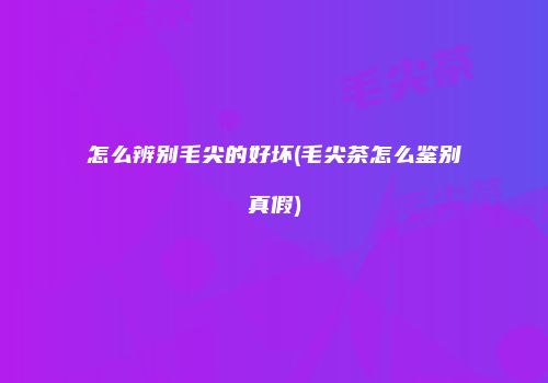 怎么辨别毛尖的好坏(毛尖茶怎么鉴别真假)