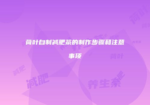 荷叶自制减肥茶的制作步骤和注意事项
