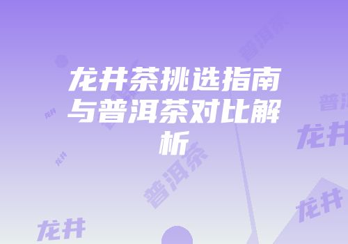 龙井茶挑选指南与普洱茶对比解析