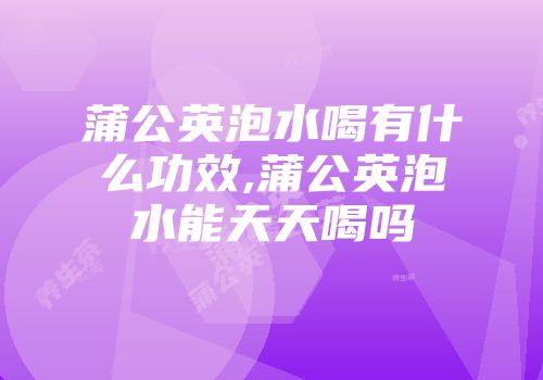 蒲公英泡水喝有什么功效,蒲公英泡水能天天喝吗