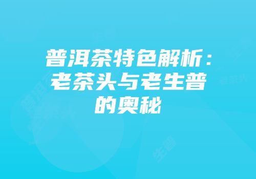 普洱茶特色解析：老茶头与老生普的奥秘