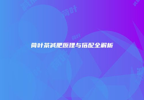 荷叶茶减肥原理与搭配全解析
