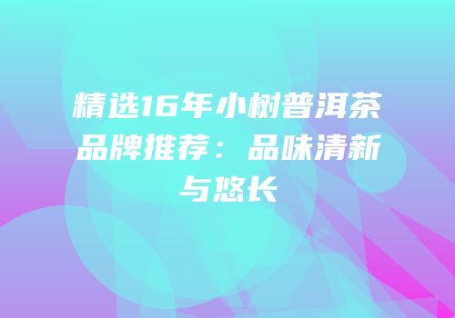 精选16年小树普洱茶品牌推荐：品味清新与悠长