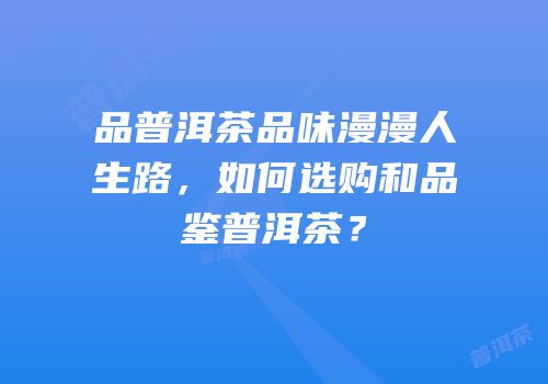 品普洱茶品味漫漫人生路，如何选购和品鉴普洱茶？