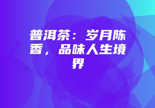 普洱茶：岁月陈香，品味人生境界