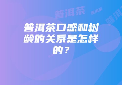 普洱茶口感和树龄的关系是怎样的？