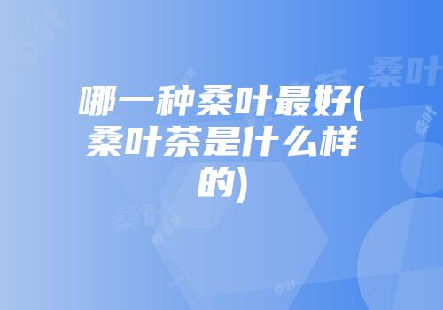 哪一种桑叶最好(桑叶茶是什么样的)