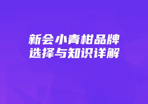 新会小青柑品牌选择与知识详解