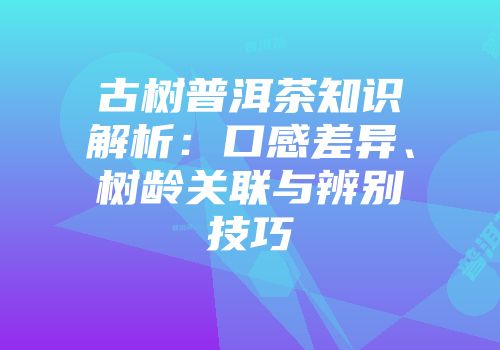 古树普洱茶知识解析：口感差异、树龄关联与辨别技巧