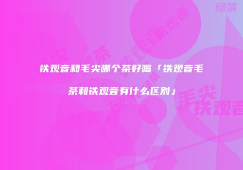 铁观音和毛尖哪个茶好喝「铁观音毛茶和铁观音有什么区别」