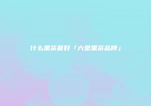 什么黑茶最好「六堡黑茶品牌」