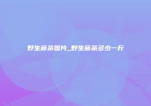 野生藤茶图片_野生藤茶多少一斤