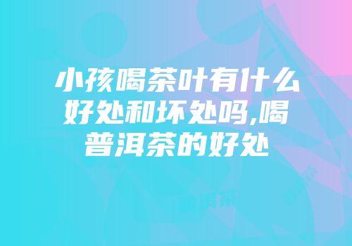 小孩喝茶叶有什么好处和坏处吗,喝普洱茶的好处
