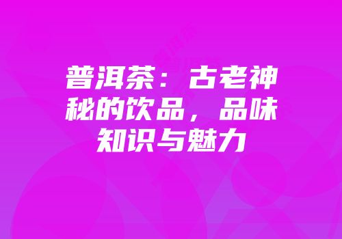 普洱茶：古老神秘的饮品，品味知识与魅力