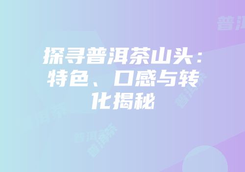 探寻普洱茶山头：特色、口感与转化揭秘