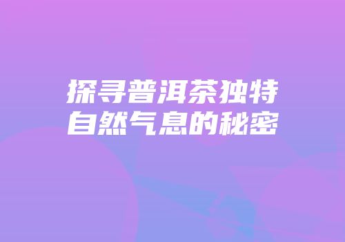 探寻普洱茶独特自然气息的秘密