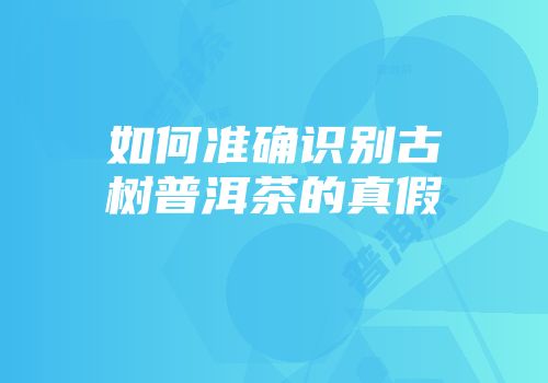 如何准确识别古树普洱茶的真假