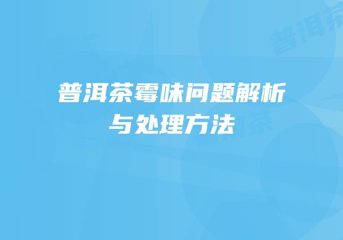 普洱茶霉味问题解析与处理方法