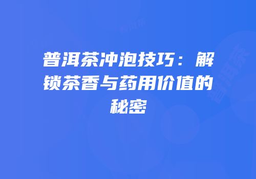 普洱茶冲泡技巧：解锁茶香与药用价值的秘密